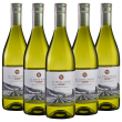Эль Дескансо Совиньон Блан, белое сухое, Чили (5 шт.)