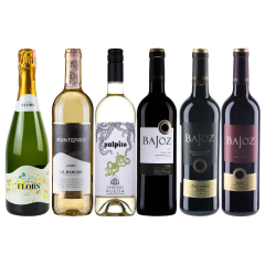 Дегустационный сет "Знакомство с Испанией. Средний"_162