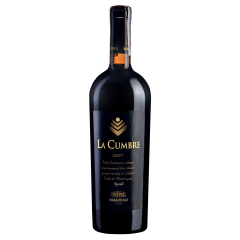 Errazuriz La Cumbre 2007 Syrah фото
