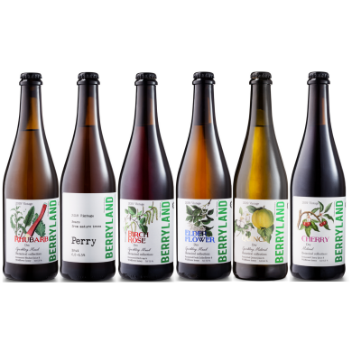 Дегустационный сет из 6 сидров Berryland_98