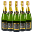 Дует Брют, біле брют, Іспанія (5 шт.)