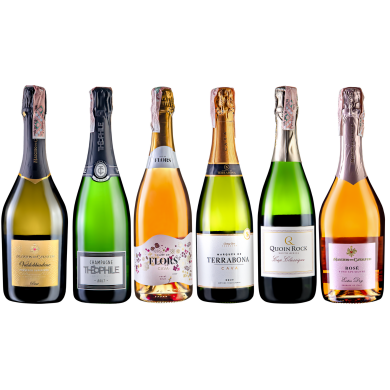 Сет из 6 вин "Шампанское+Просекко+Кава+Сюрприз"_75