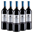 Эль Чиво Мерло, красное сухое, Чили (5 шт.)