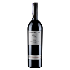 Manyetes 2001 фото