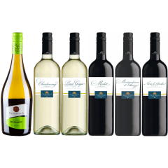 Дегустаційний сет італійських вин "Villa Italia" _115