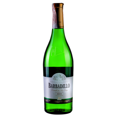Вино Barbadillo Castillo de San Diego Secco фото