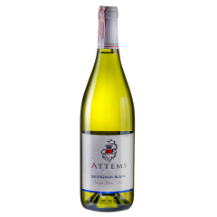 Вино Attems Sauvignon Blanc 2018 фото