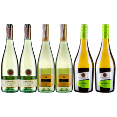 Сет з 6 вин "Фріззанте Італія" _132