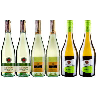 Сет з 6 вин "Фріззанте Італія" _132