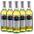 Фолонари Шардоне, белое сухое, Италия (5 шт.)