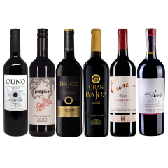 Сет красных вин под мясо "2021"_139