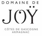 Joy
