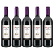 Кампо де Чили Мерло, красное сухое, Чили (5 шт.)