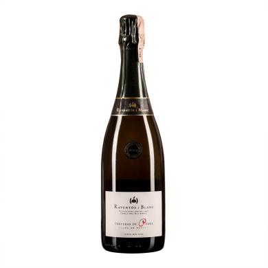 Равентос Текстурес де Педра Брют Гран Резерва 2014, белое брют, Испания, 1 бутылка